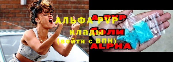 сатива Баксан