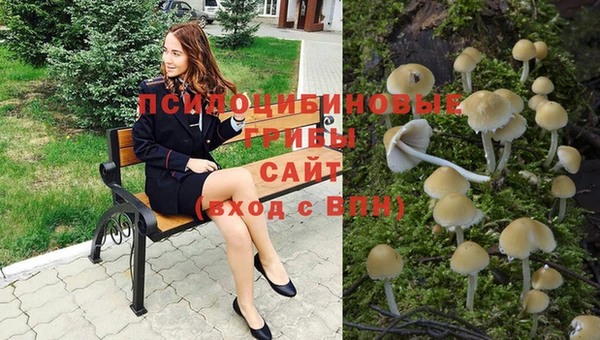 сатива Баксан