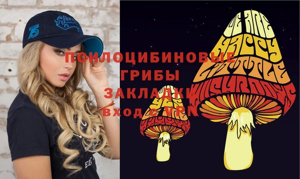 сатива Баксан