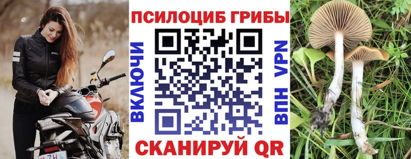 ОМГ ОМГ зеркало Бугульма Галлюциногенные грибы прущие грибы